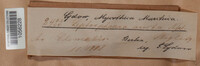 Nodulosphaeria aucta image